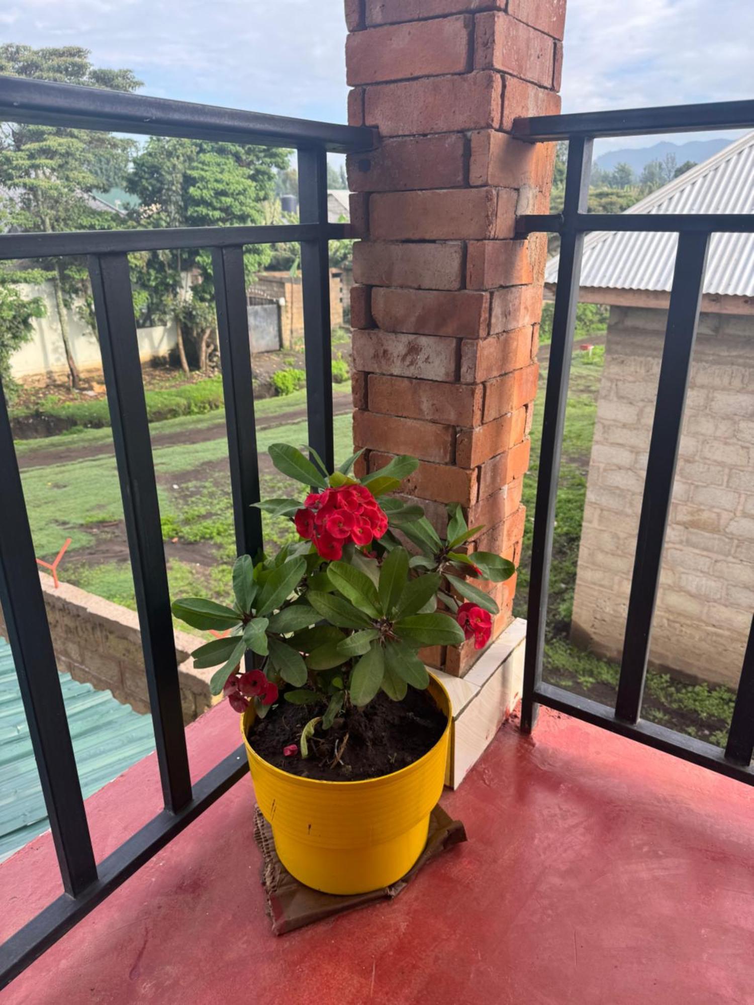 Seven Seven B&B Arusha Exterior photo